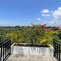 Brand New 3 bedroom Villa leasehold. Villas in Bali for Sale: Villa in Canggu, Bali for 270 Thousands USD. Leasehold. Preview photo #8