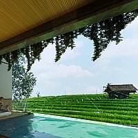 Unique 100-year lease: Serene 3-bedroom villa in Canggu. Villas in Bali for Sale: Вилла в Чангу, Бали за 423 тыс. USD. Leasehold. Предварительный просмотр фото #1