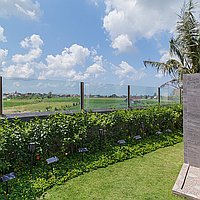 Idyllic Traditional Three-Bedroom Villa with Rice Field Views in Padang Tawang, Canggu. Villas in Bali for Sale: Villa in Canggu, Bali for 395 Thousands USD. Leasehold. Preview photo #17
