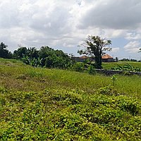 Elegant 5-bedroom villa in Seseh with expansion potential. Villas in Bali for Sale: Вилла в Чангу, Бали за 1183 тыс. USD. Leasehold. Предварительный просмотр фото #5
