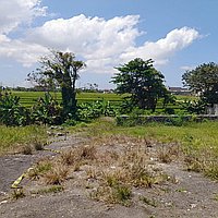 Elegant 5-bedroom villa in Seseh with expansion potential. Villas in Bali for Sale: Вилла в Чангу, Бали за 1183 тыс. USD. Leasehold. Предварительный просмотр фото #6