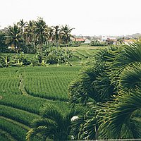 Three bedroom coastal retreat in Seseh for lease. Villas in Bali for Sale: Вилла в Чангу, Бали за 552 тыс. USD. Leasehold. Предварительный просмотр фото #9