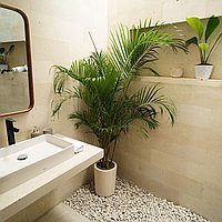 Affordable two-bedroom villa in Bumbak for lease. Villas in Bali for Sale: Вилла в Керобокан, Бали за 237 тыс. USD. Leasehold. Предварительный просмотр фото #3