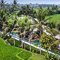 Spectacular rice field view villa in Sayan, Ubud. Villas in Bali for Sale: Вилла в Убуд, Бали за 322 тыс. USD. Leasehold. Предварительный просмотр фото #8