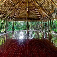 Expansive 27 ARE Freehold Property Investment Opportunity, Minutes from Central Ubud. Villas in Bali for Sale: Villa in Ubud, Bali for 905 Thousands USD. Freehold. Preview photo #16
