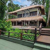 Expansive 27 ARE Freehold Property Investment Opportunity, Minutes from Central Ubud. Villas in Bali for Sale: Villa in Ubud, Bali for 905 Thousands USD. Freehold. Preview photo #1