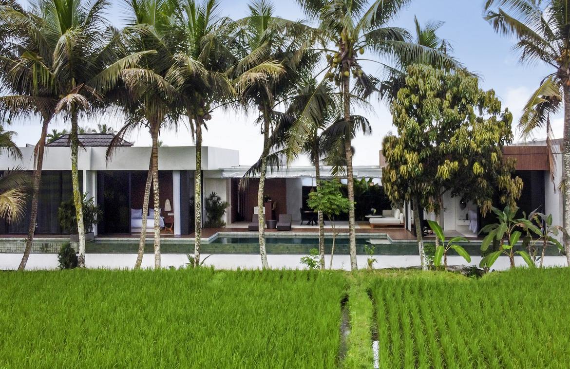 Spectacular rice field view villa in Sayan, Ubud. Villas in Bali for Sale: Villa in Ubud, Bali for 28,0 Million INR. Leasehold. Main Photo