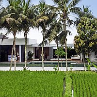 Spectacular rice field view villa in Sayan, Ubud. Villas in Bali for Sale: Villa in Ubud, Bali for 28,0 Million INR. Leasehold. Preview of main photo